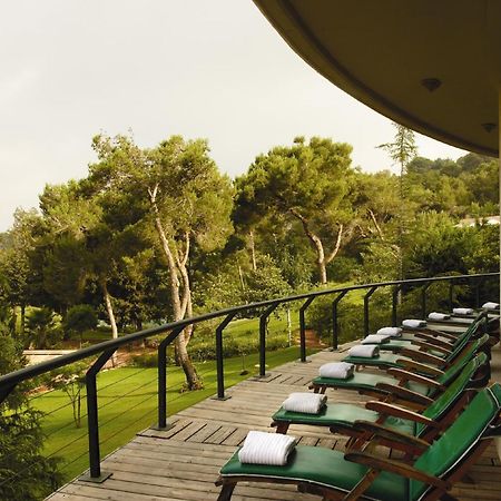 Carmel Forest By Isrotel Exclusive Bejt Oren Zařízení fotografie
